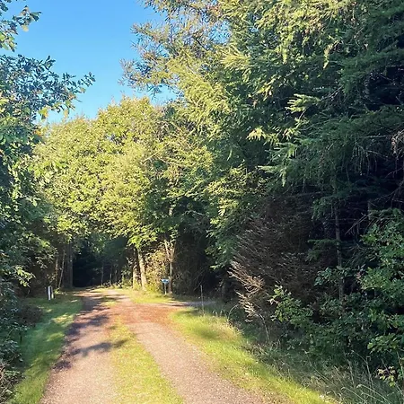 4 Star In Logstor 別荘