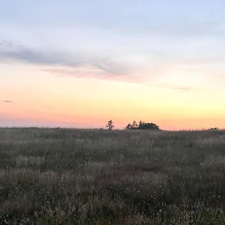 4 Star In Logstor 別荘 *